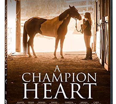 A CHAMPION HEART - DVD Online Sale